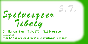 szilveszter tibely business card